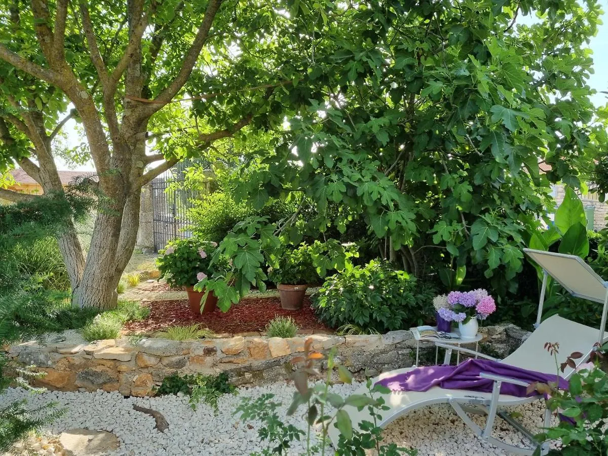 Stonehouse Ana With Jacuzzi Rovinj-Krmed Villa