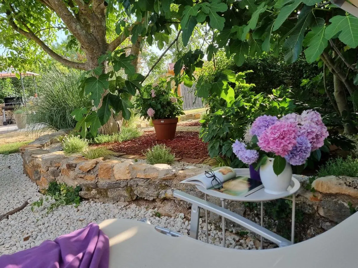 Stonehouse Ana With Jacuzzi Rovinj-Krmed Villa Holiday home